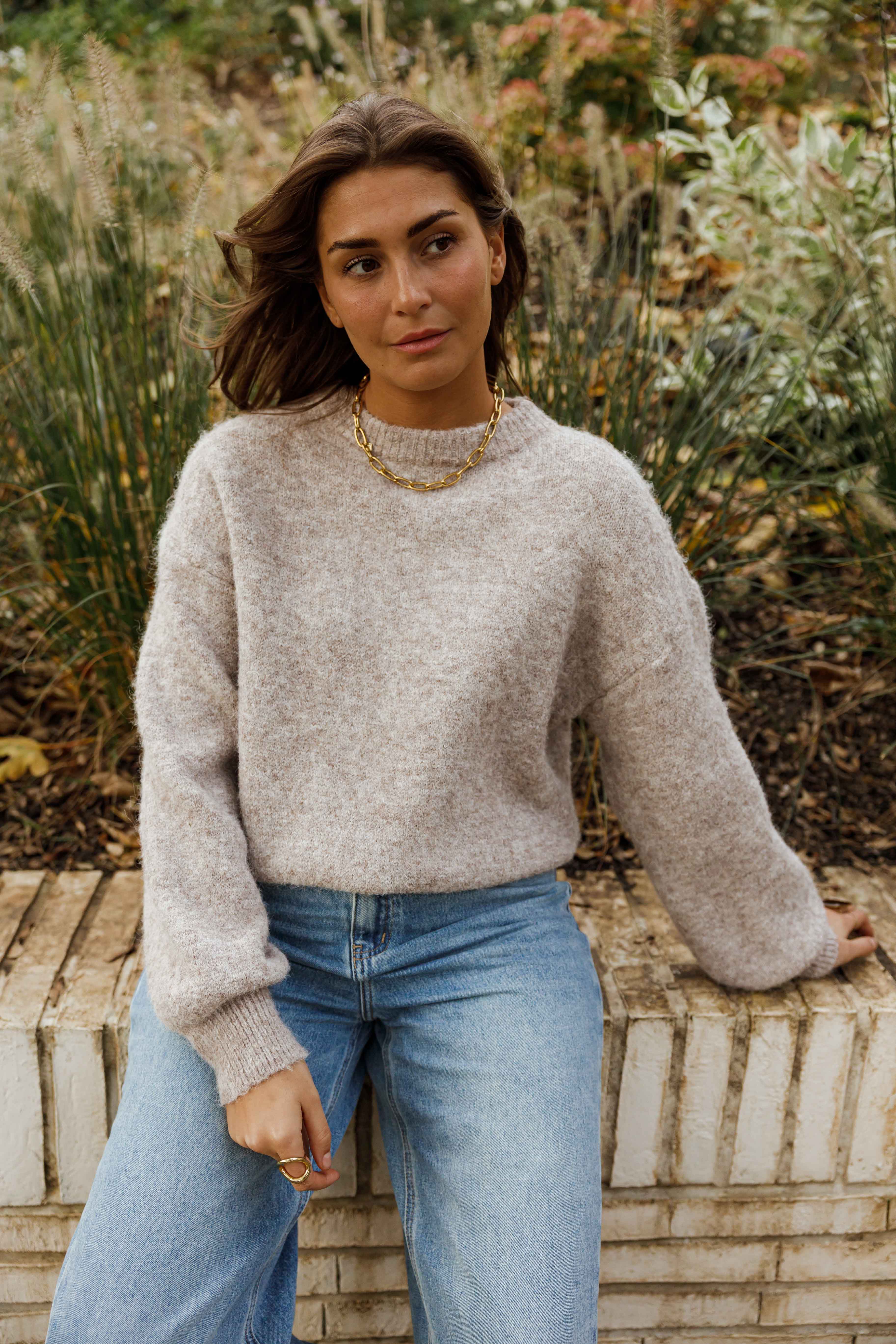 Pull Elga - taupe - Image 4